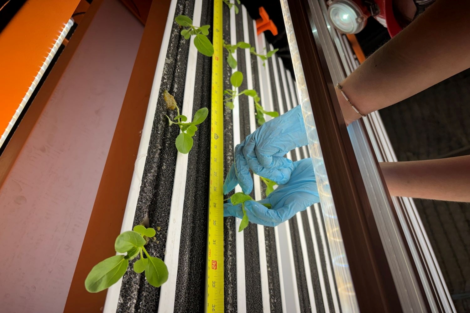 World's Deepest Farming Study Begins 1.1km Underground in UK Lab